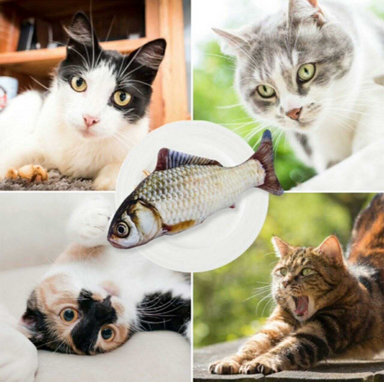 Juguete Interactivo Para Gatos